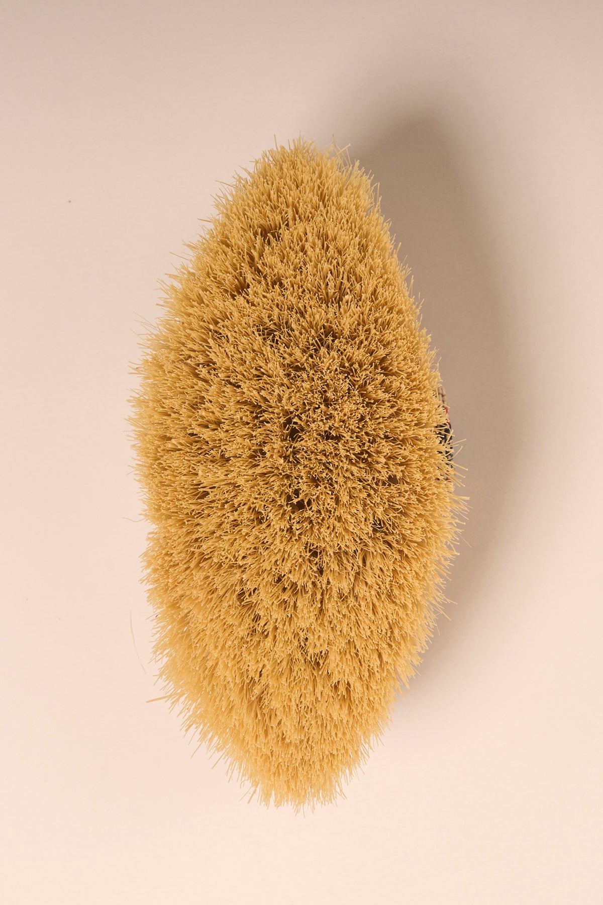 100% Natural Vegan Cellulite Brush (Cactus Hair)