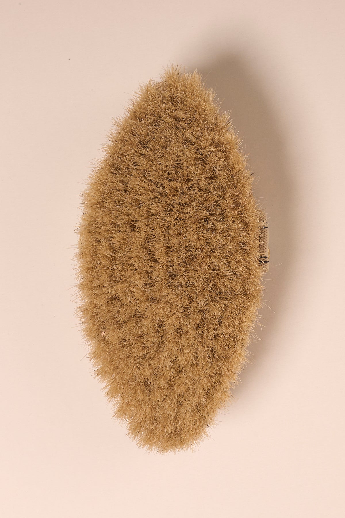 Selülit Karşıtı Vücut Kremi + At Kılı Selülit Fırçası (vanilla)