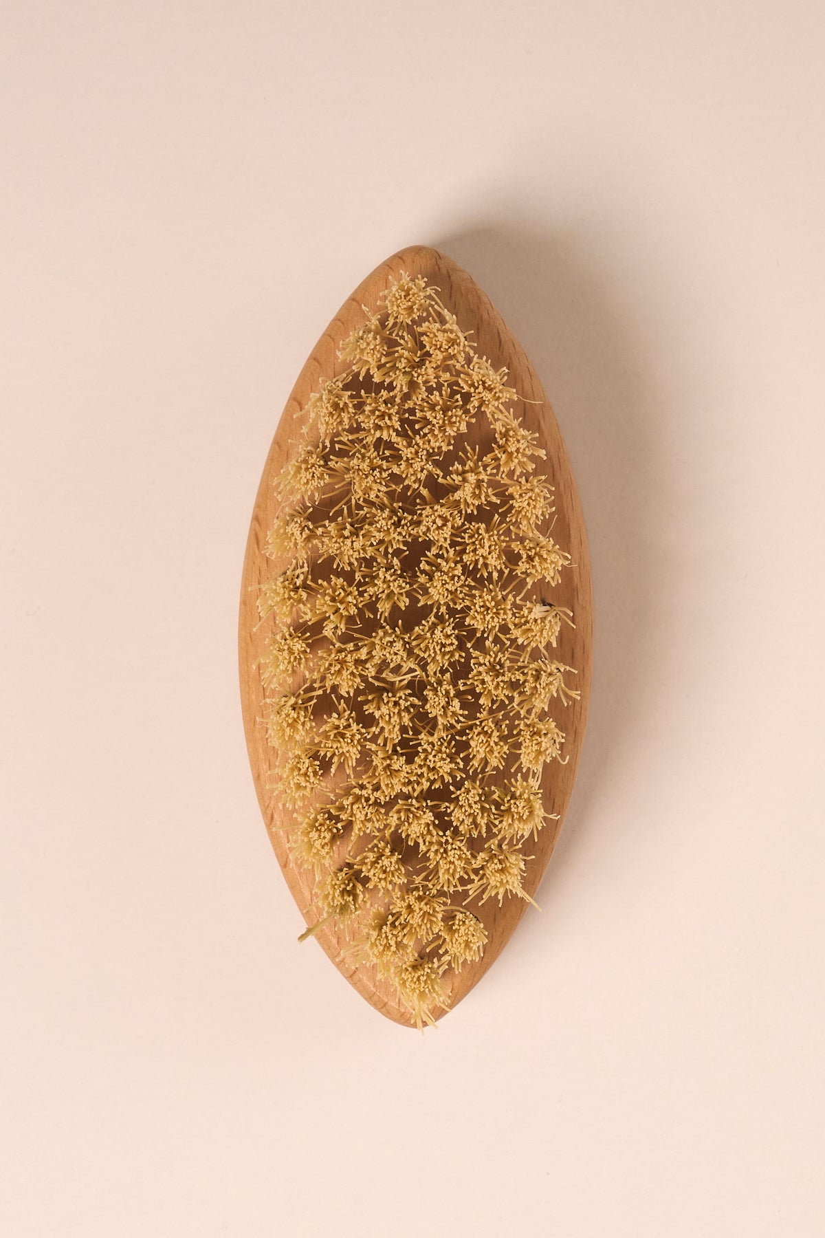 Set of 3 Natural Horse Hair Cellulite Brush (Tulip) + Face Brush + Nail Brush